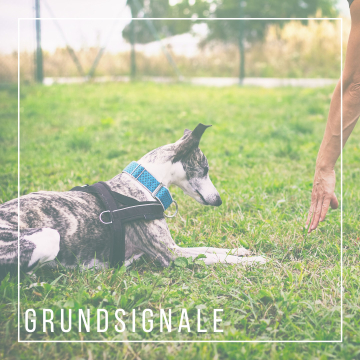 Grundsignale